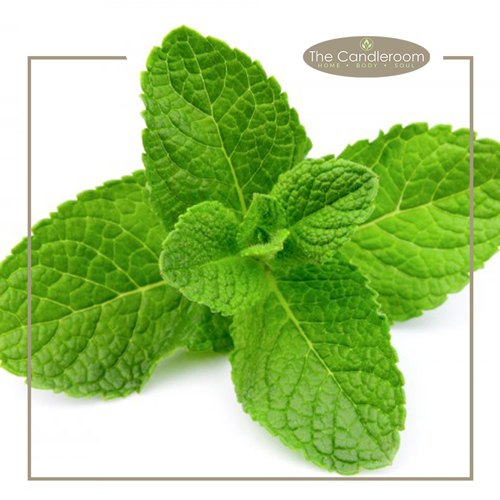 photo of peppermint leaves